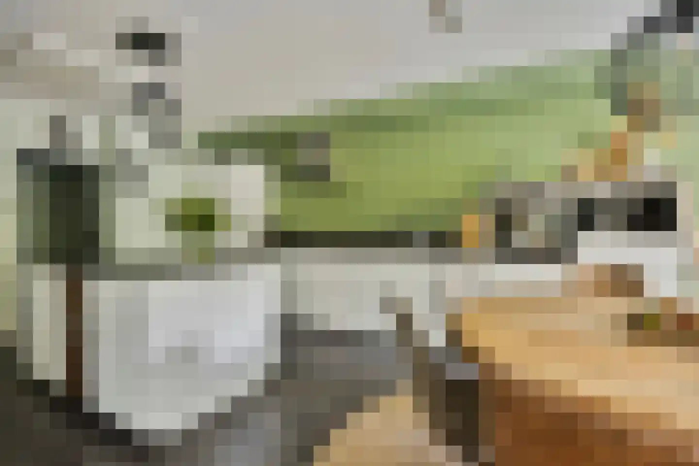 Laan van Spieringshoek 53 Schiedam thumbnail 7