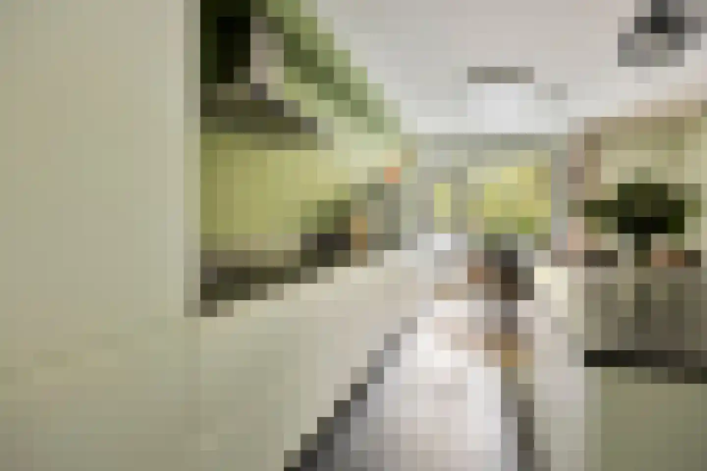 Laan van Spieringshoek 53 Schiedam thumbnail 9