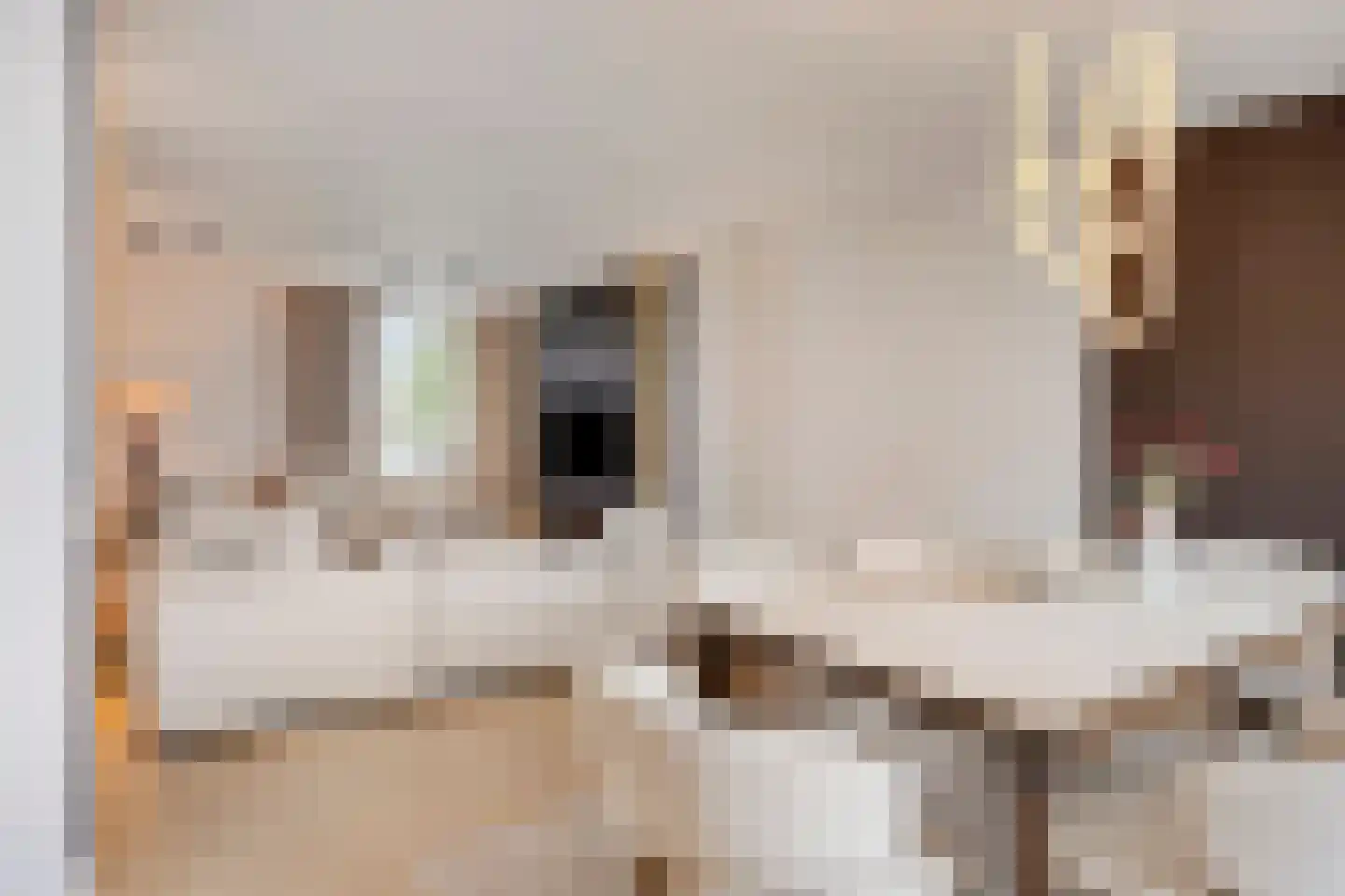 Laan van Spieringshoek 67 Schiedam thumbnail 12