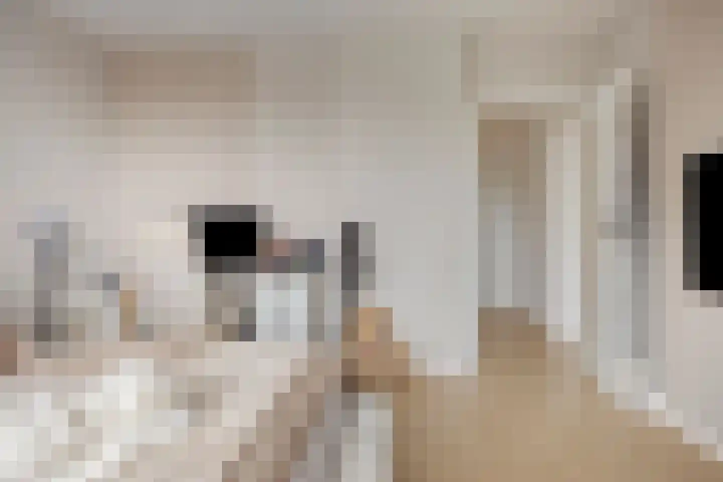 Laan van Spieringshoek 67 Schiedam thumbnail 26
