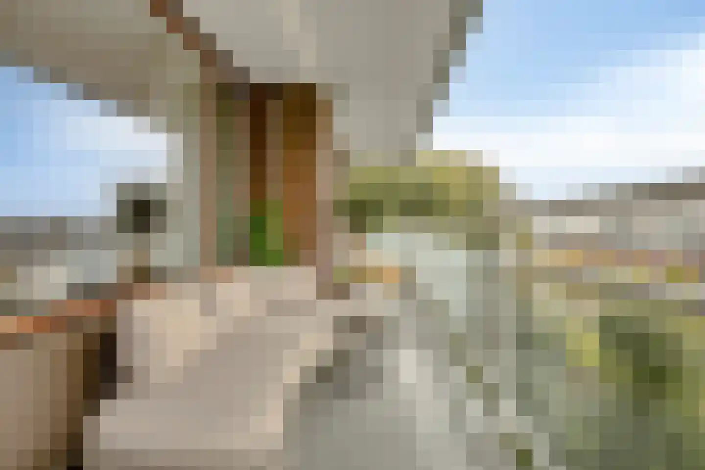 Laan van Spieringshoek 67 Schiedam thumbnail 27