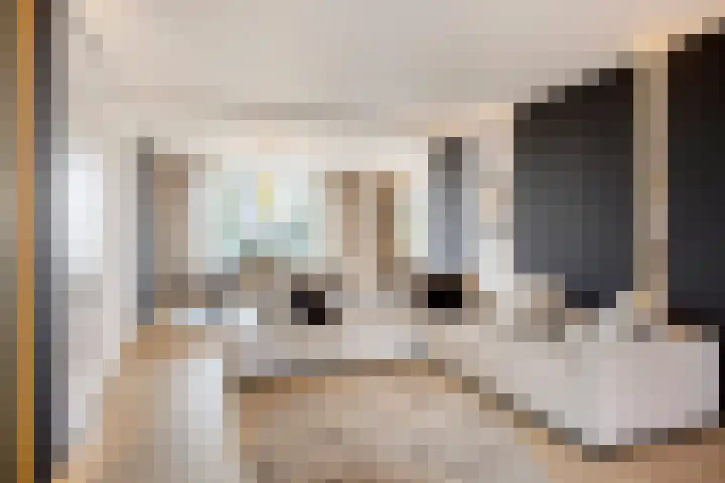 Laan van Spieringshoek 67 Schiedam thumbnail 8
