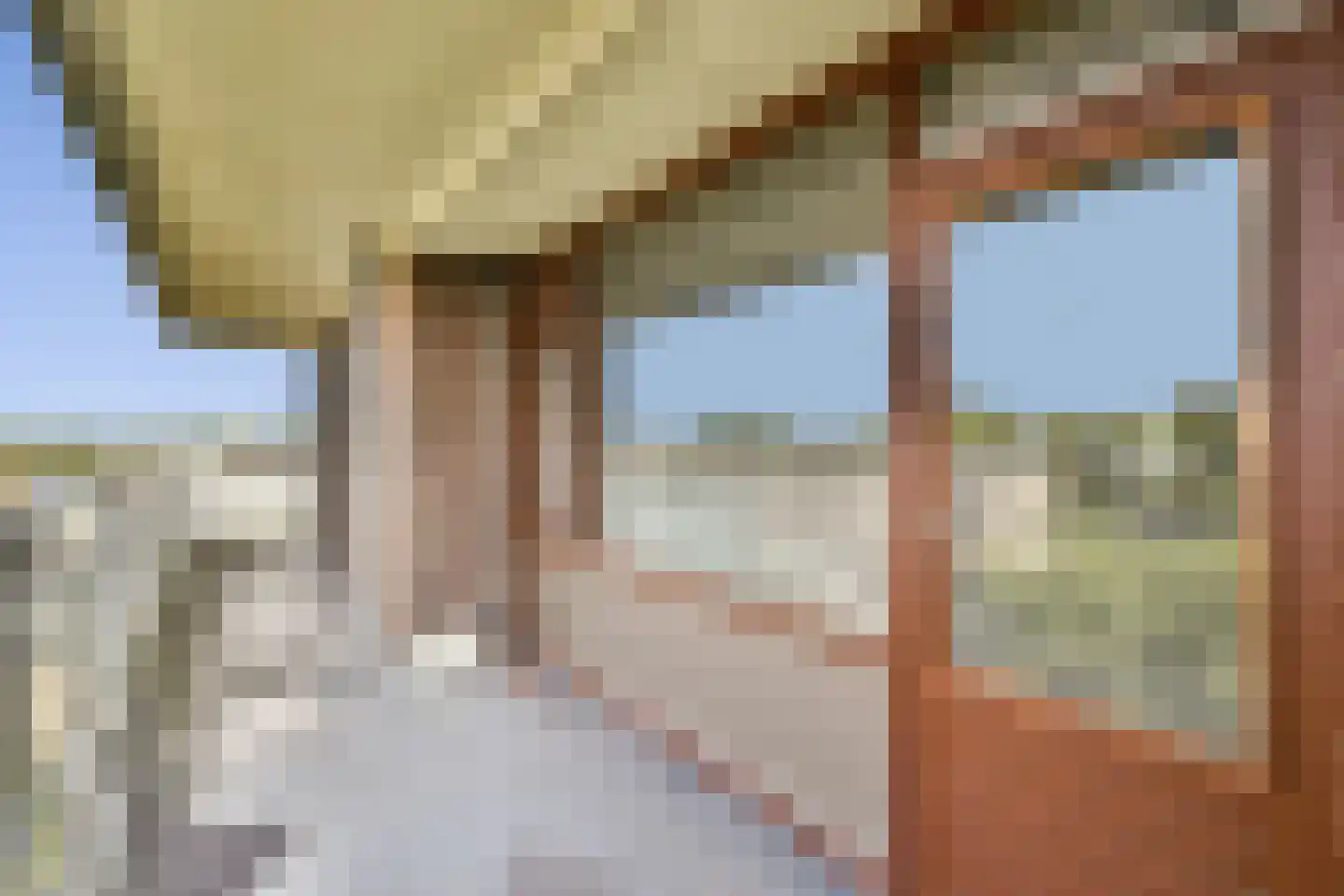 Laan van Spieringshoek 89 Schiedam thumbnail 12