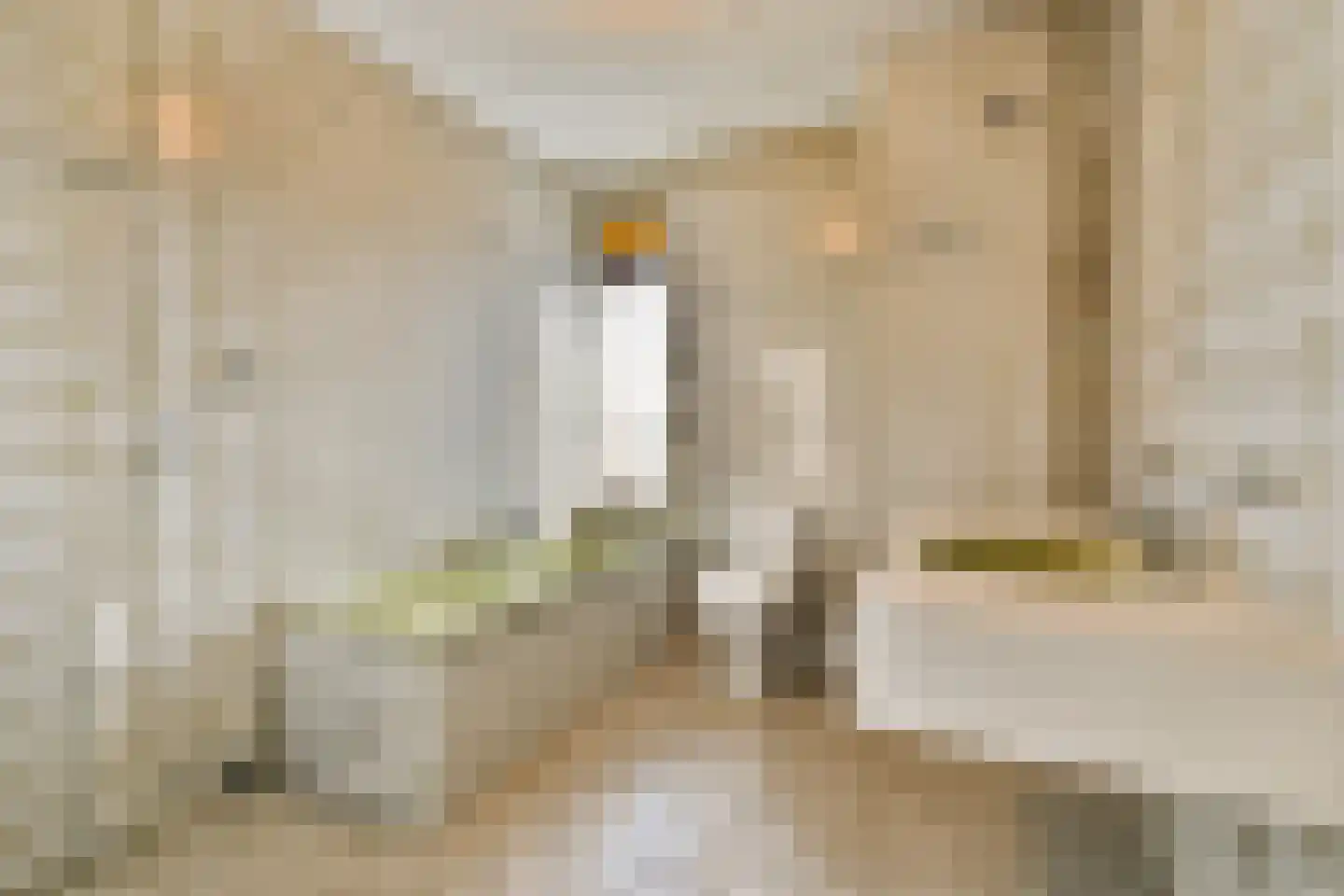 Laan van Spieringshoek 89 Schiedam thumbnail 17
