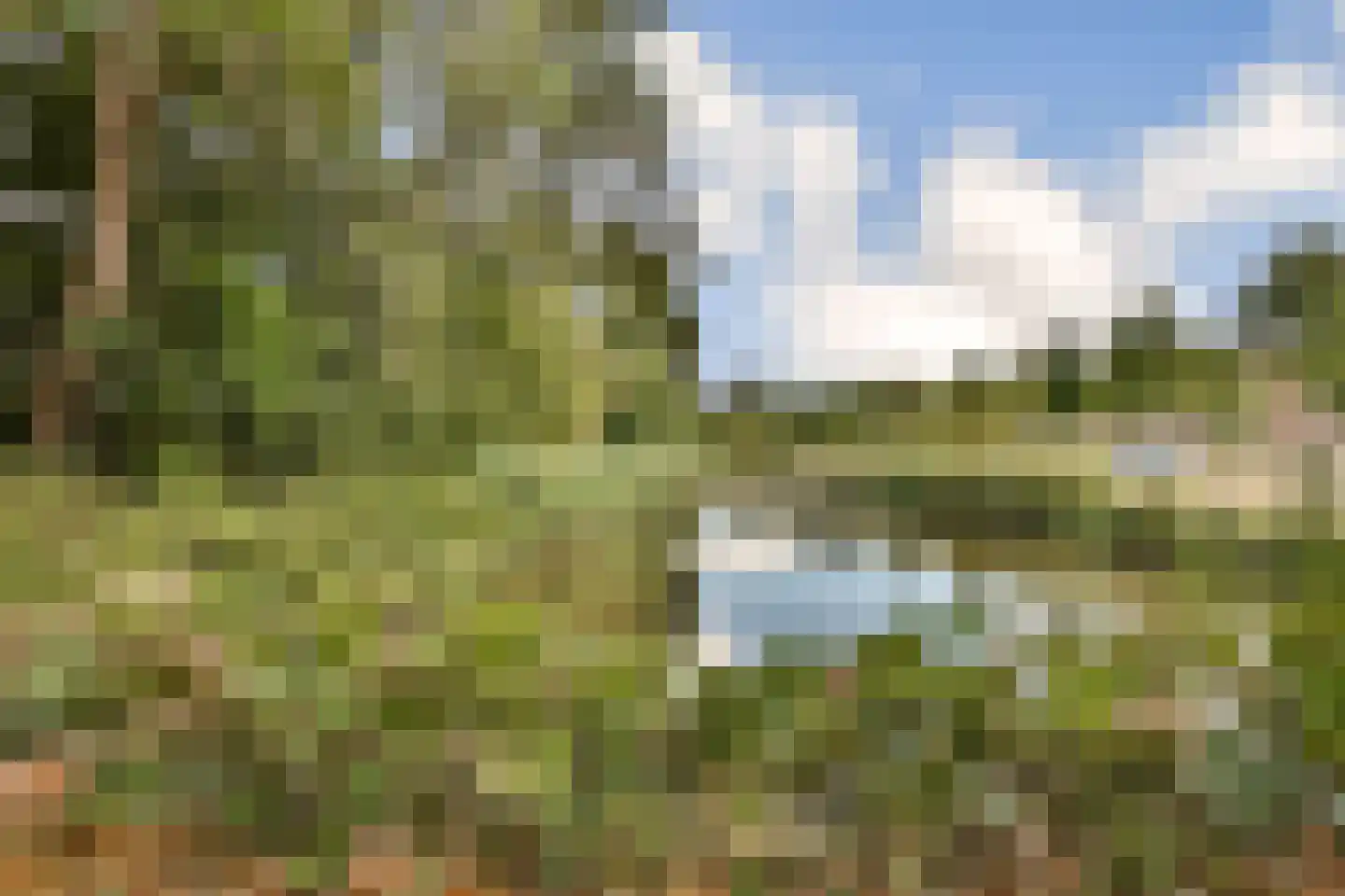 Laan van Spieringshoek 89 Schiedam thumbnail 22