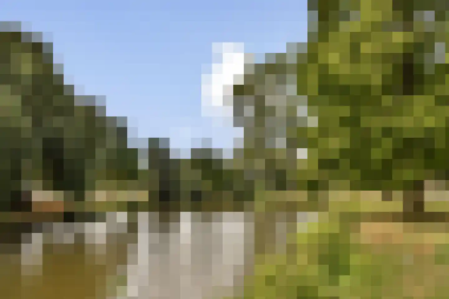Laan van Spieringshoek 89 Schiedam thumbnail 23