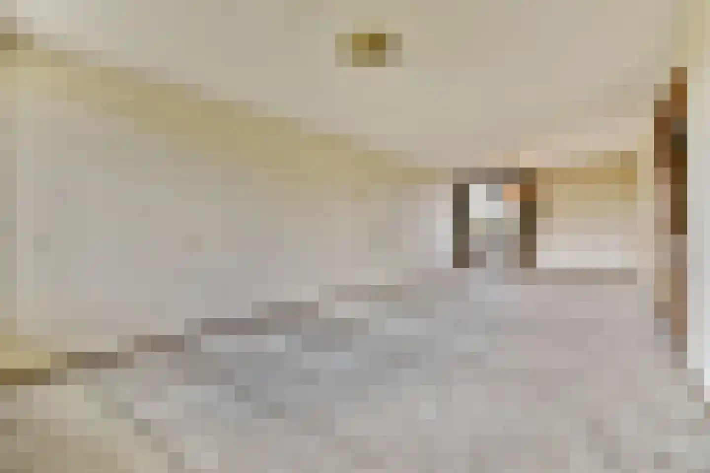 Laan van Spieringshoek 89 Schiedam thumbnail 5