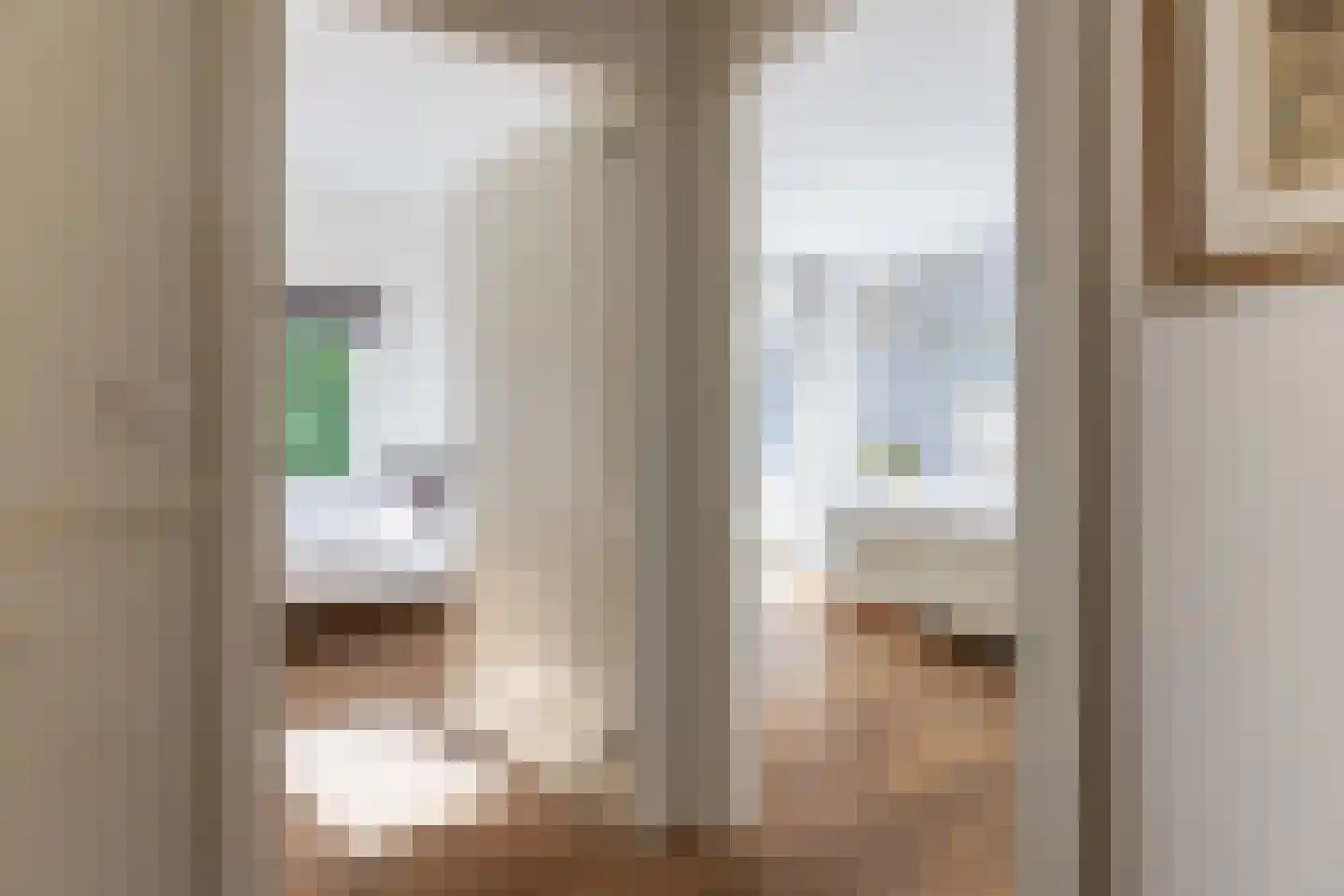 Laan van Suchtelen van de Haare 41 Bussum thumbnail 20
