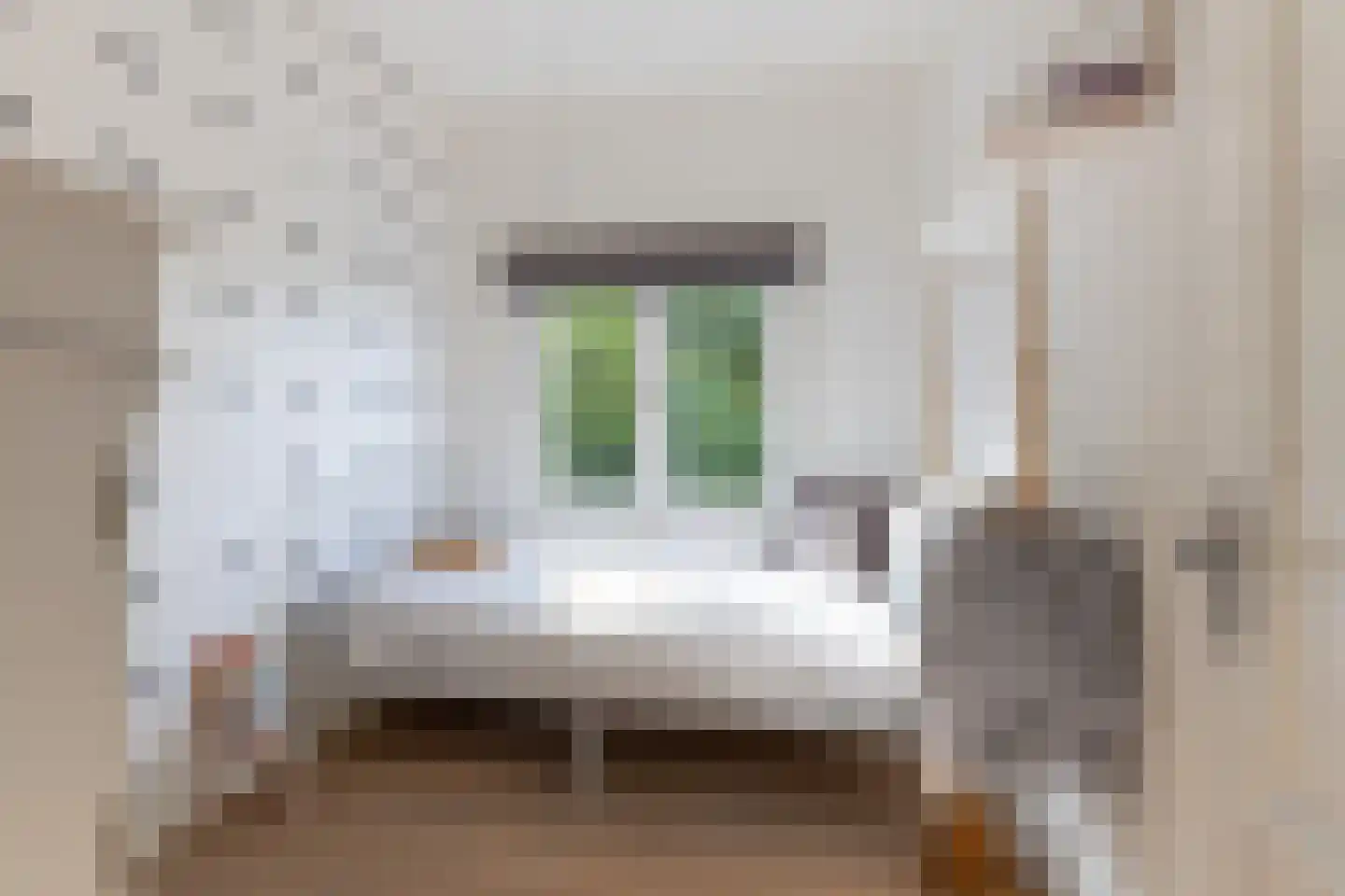 Laan van Suchtelen van de Haare 41 Bussum thumbnail 22