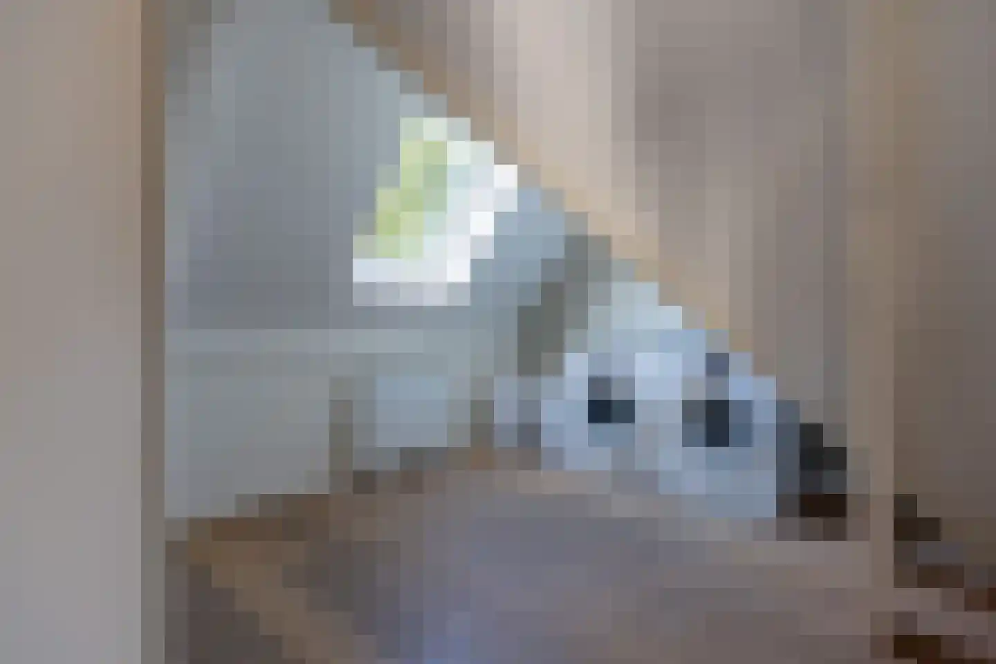 Laan van Suchtelen van de Haare 41 Bussum thumbnail 31