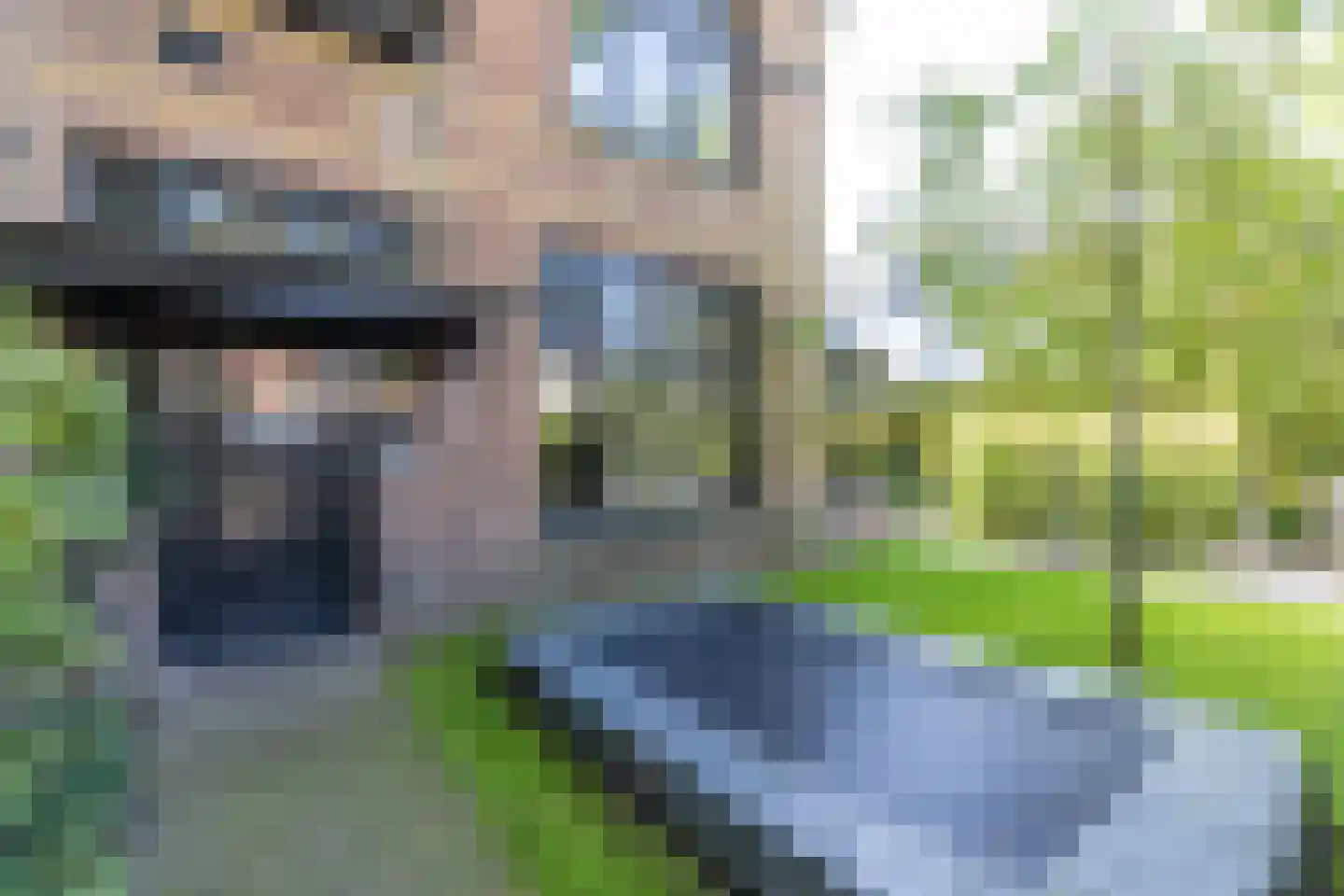 Laan van Suchtelen van de Haare 41 Bussum thumbnail 38