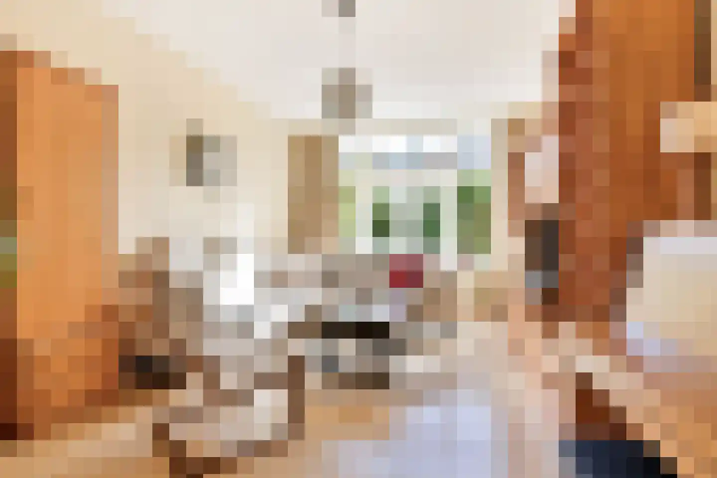 Laan van Swaensteijn 17 Voorburg thumbnail 10