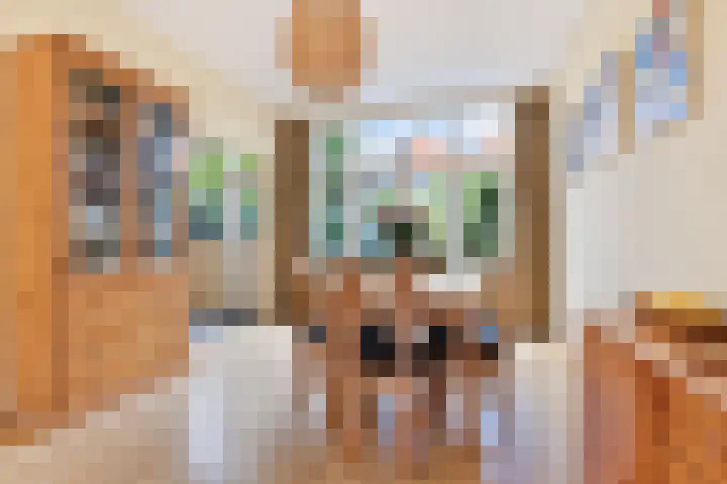 Laan van Swaensteijn 17 Voorburg thumbnail 14