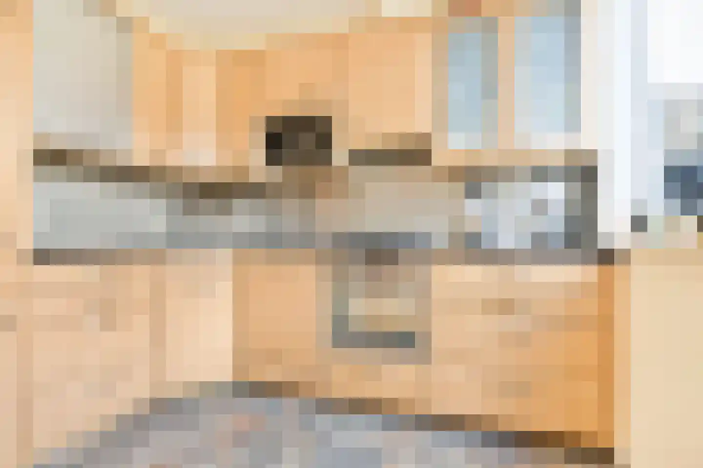 Laan van Swaensteijn 17 Voorburg thumbnail 17