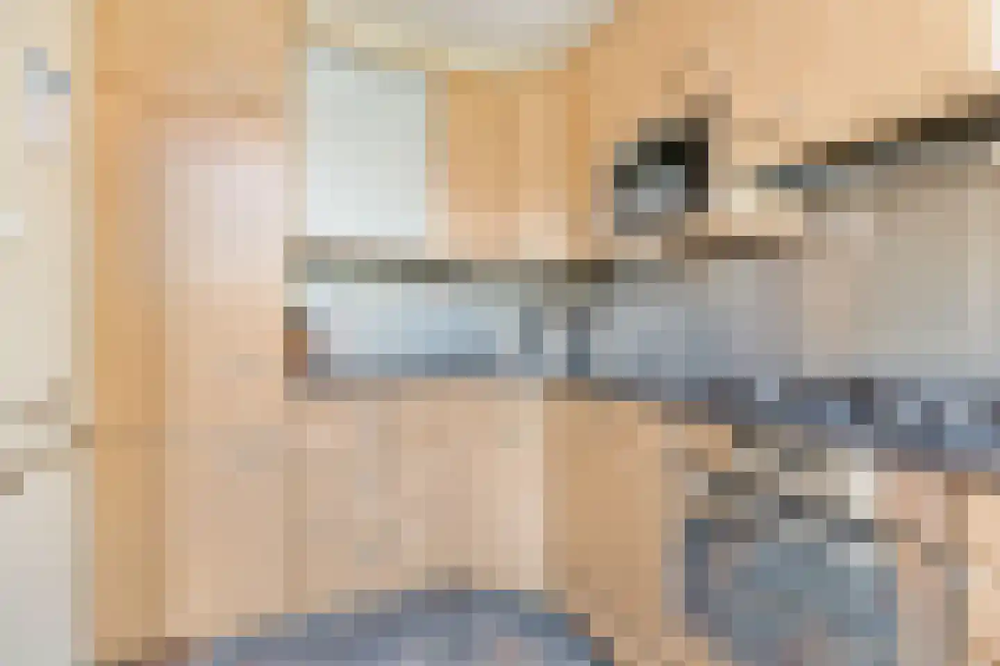 Laan van Swaensteijn 17 Voorburg thumbnail 18