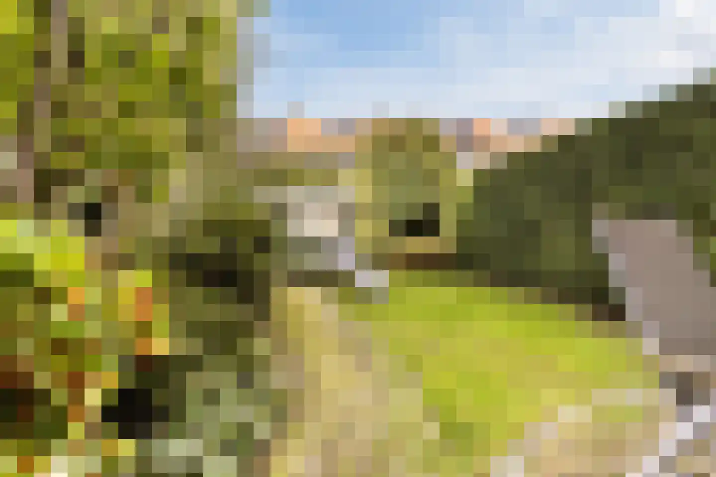 Laan van Swaensteijn 17 Voorburg thumbnail 20