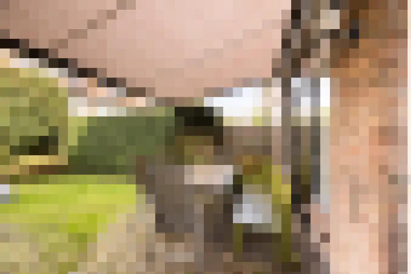 Laan van Swaensteijn 17 Voorburg thumbnail 22