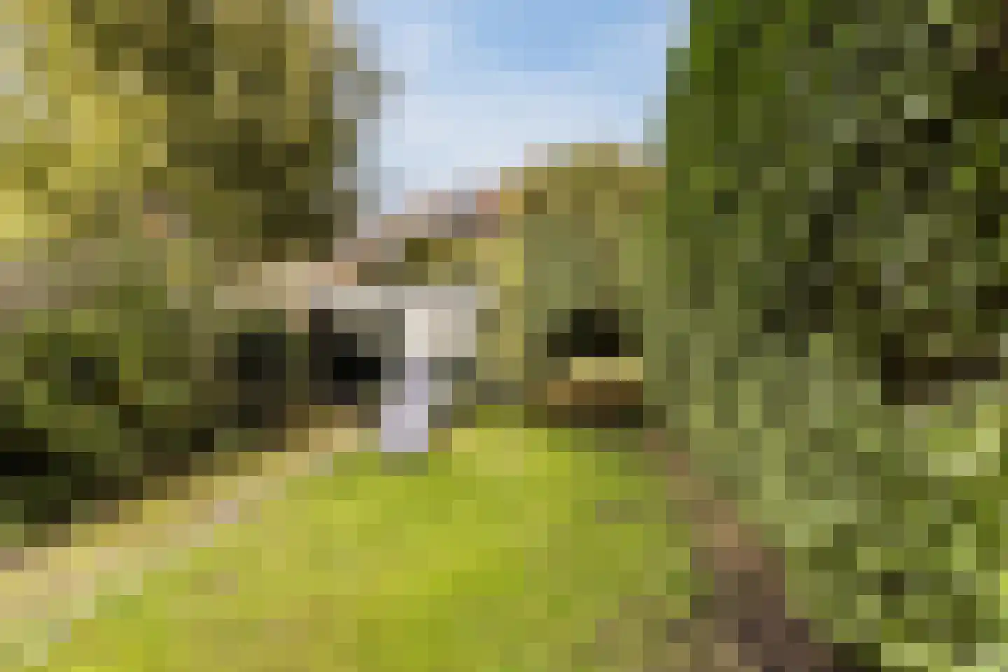 Laan van Swaensteijn 17 Voorburg thumbnail 23