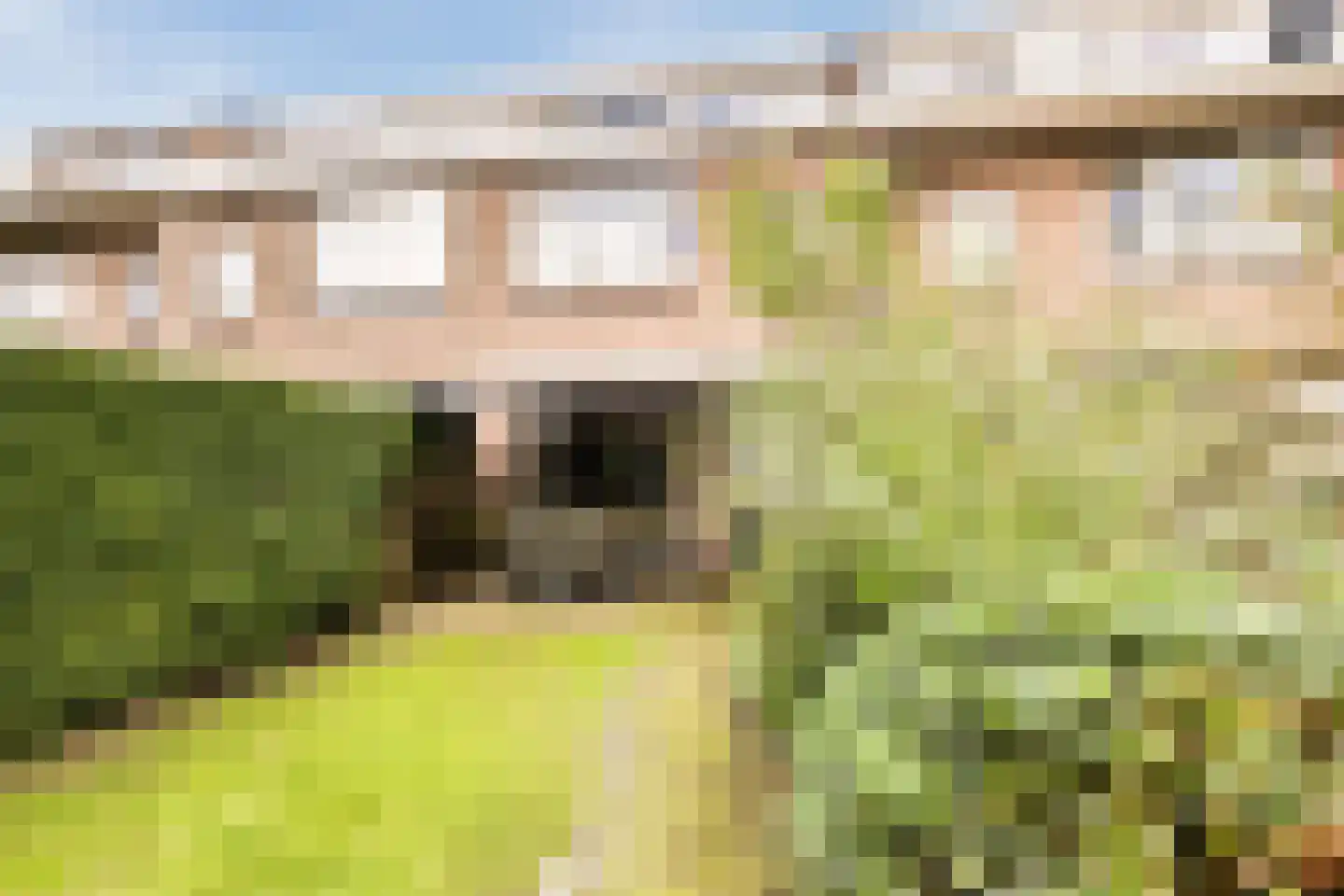 Laan van Swaensteijn 17 Voorburg thumbnail 24