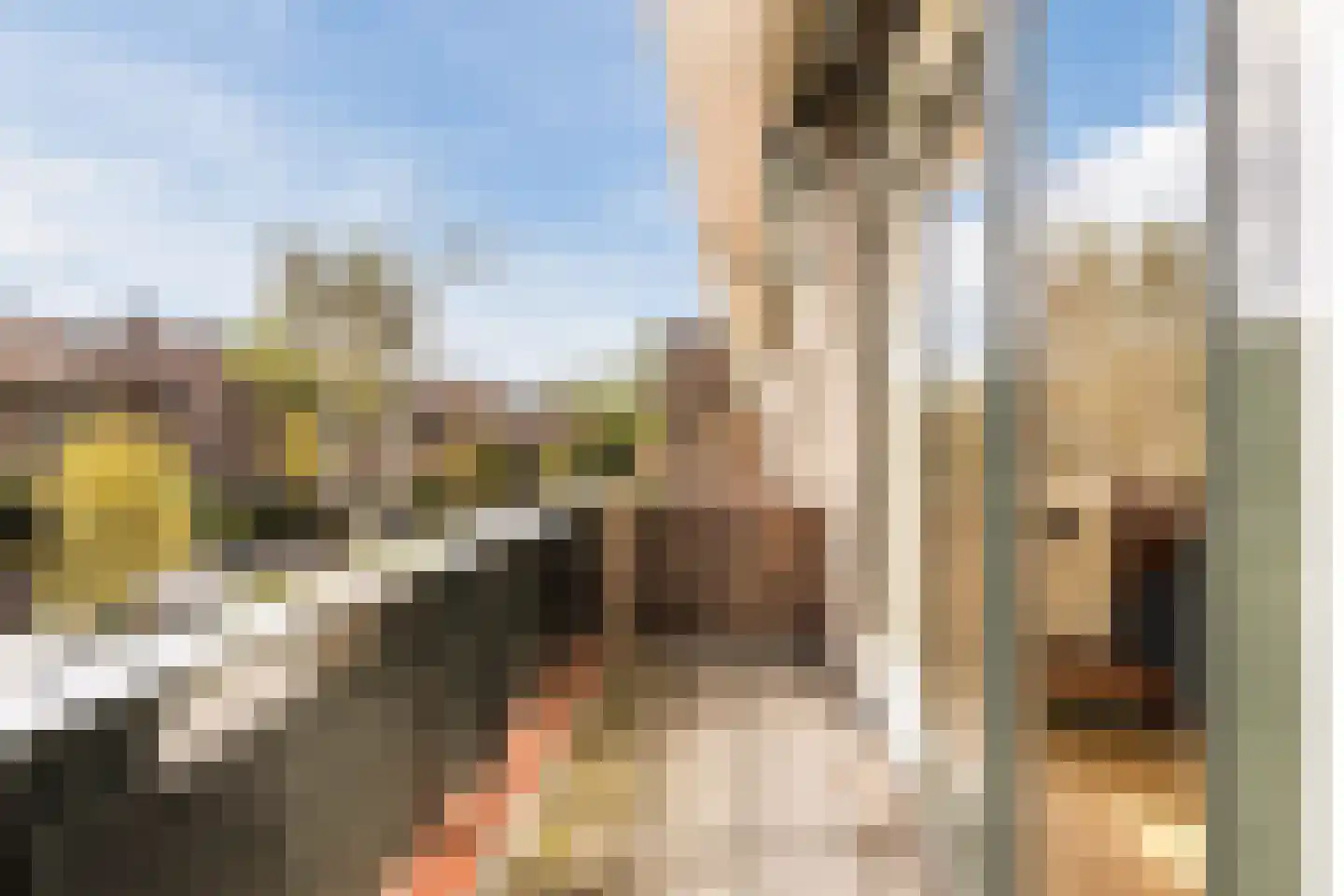 Laan van Swaensteijn 17 Voorburg thumbnail 29