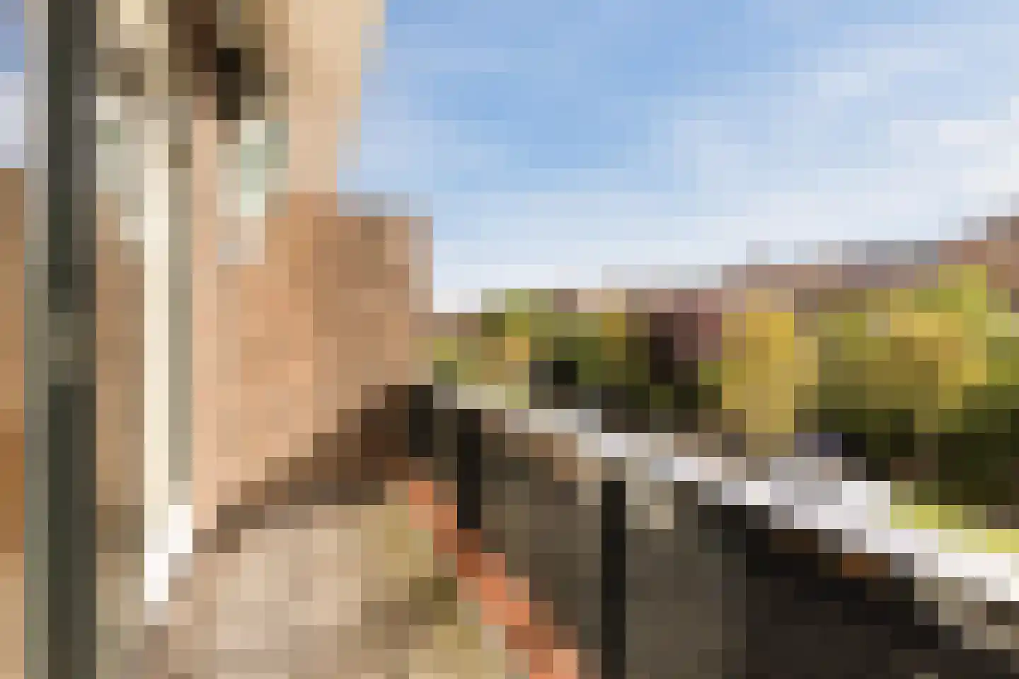 Laan van Swaensteijn 17 Voorburg thumbnail 30