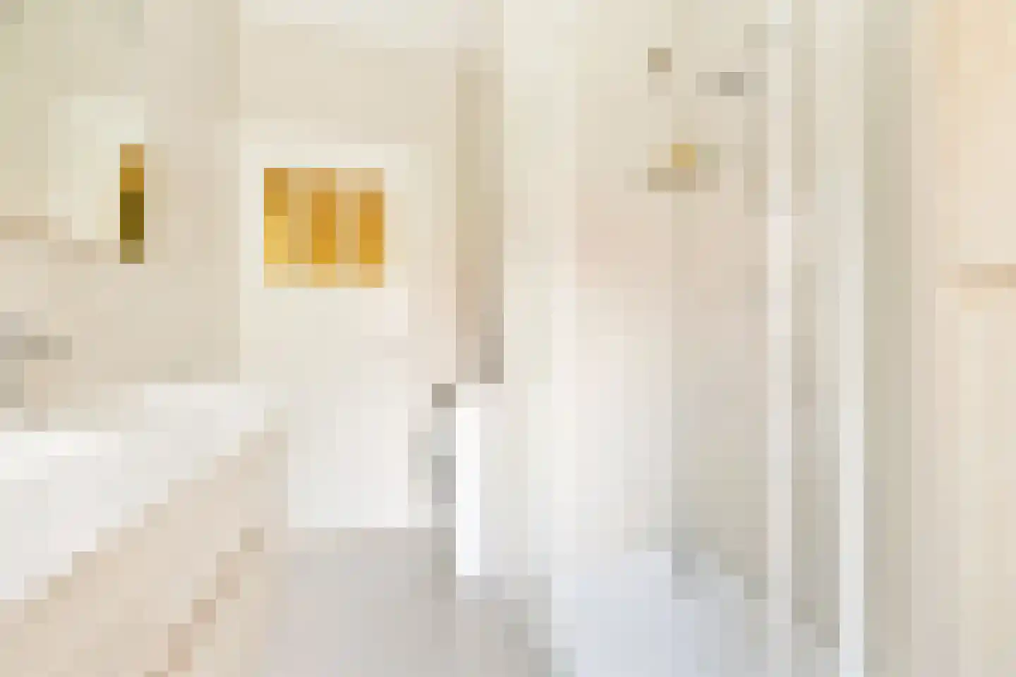 Laan van Swaensteijn 17 Voorburg thumbnail 33