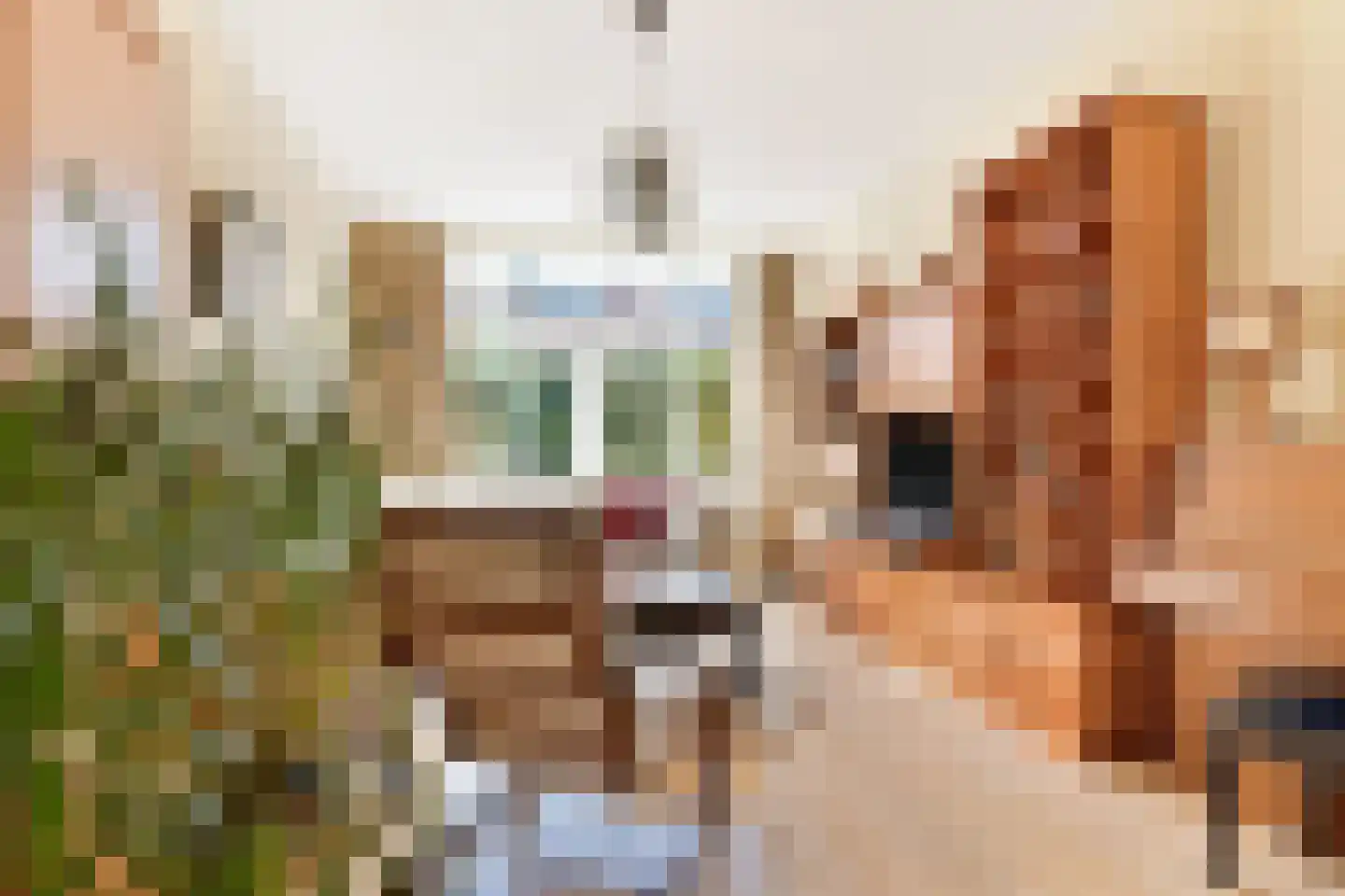 Laan van Swaensteijn 17 Voorburg thumbnail 4