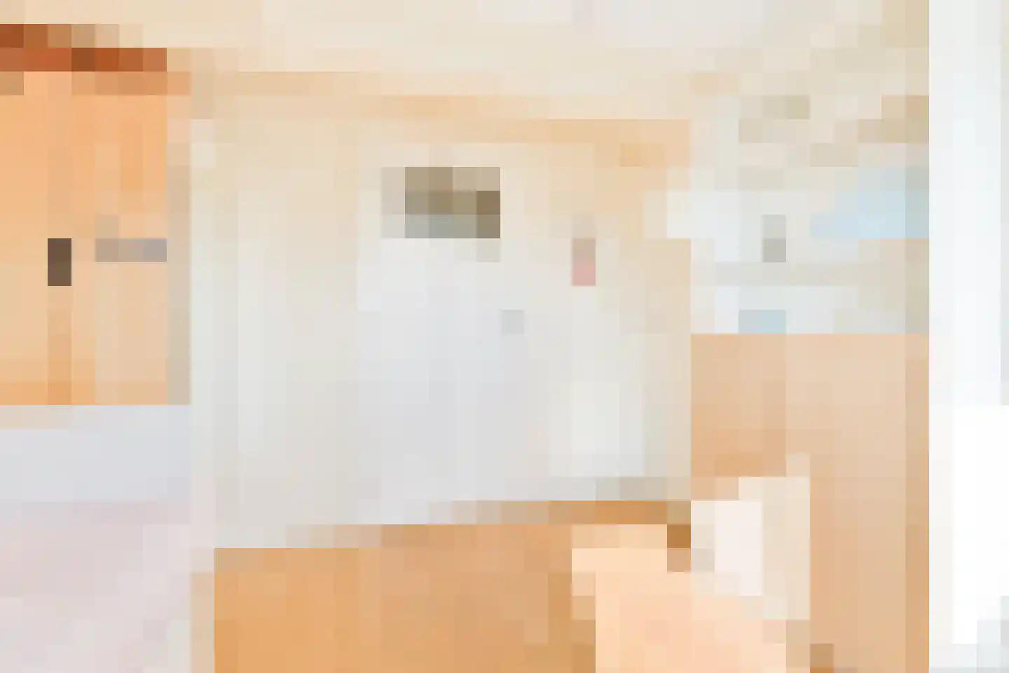 Laan van Swaensteijn 17 Voorburg thumbnail 43
