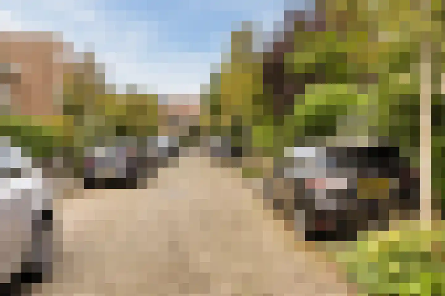 Laan van Swaensteijn 17 Voorburg thumbnail 47