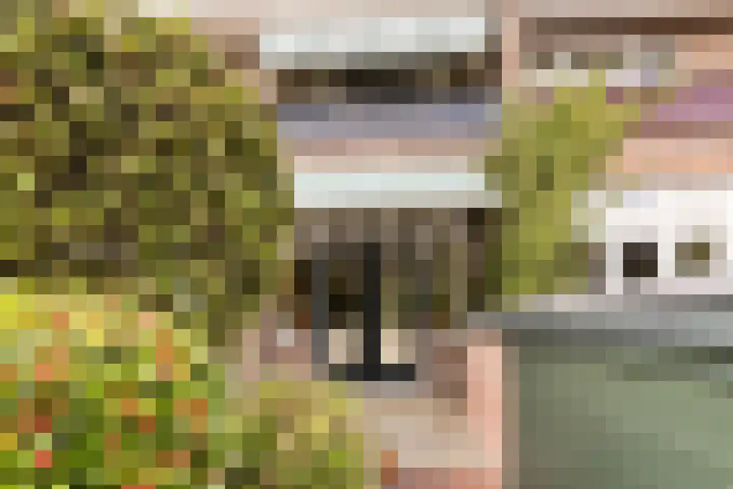 Laan van Swaensteijn 17 Voorburg thumbnail 7