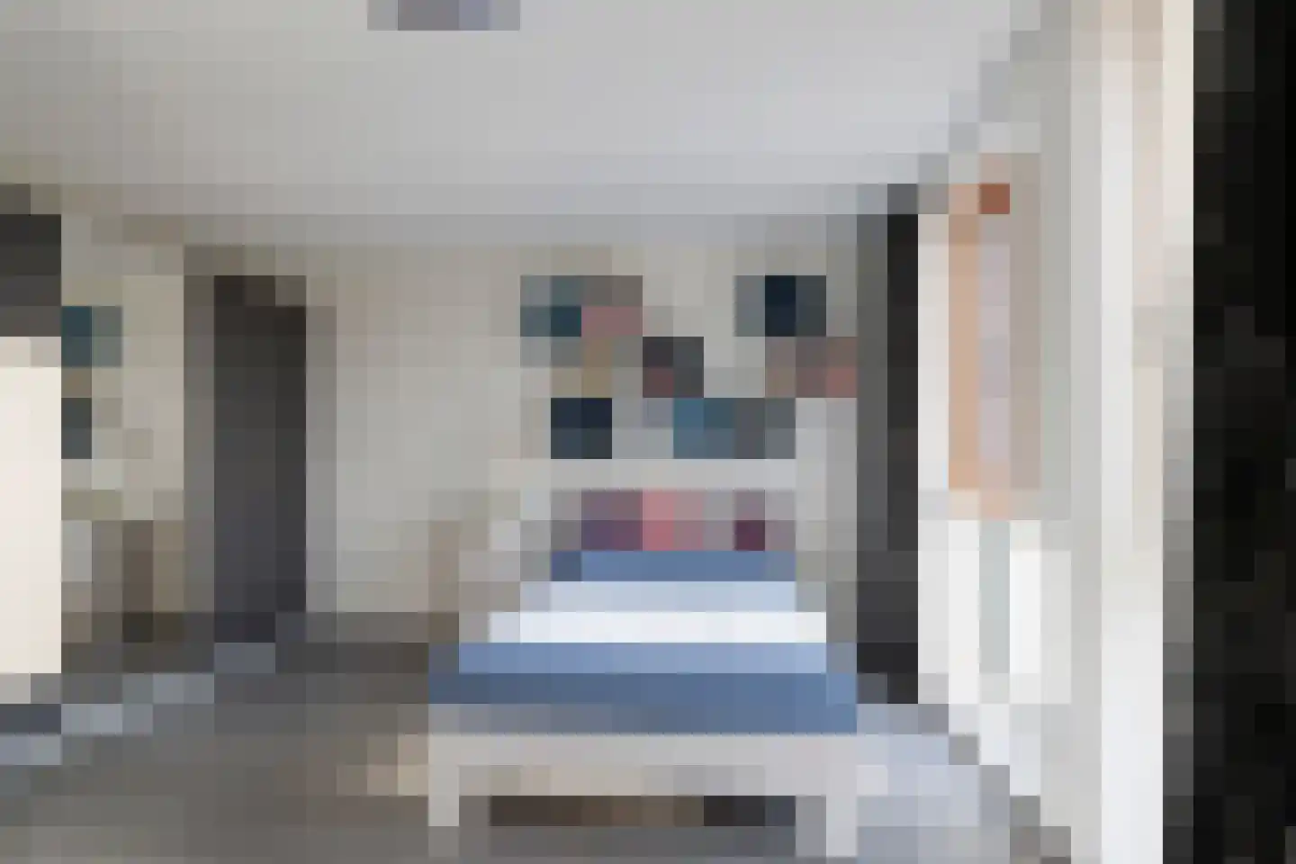 Laan van 't Haantje 43 Rijswijk thumbnail 29
