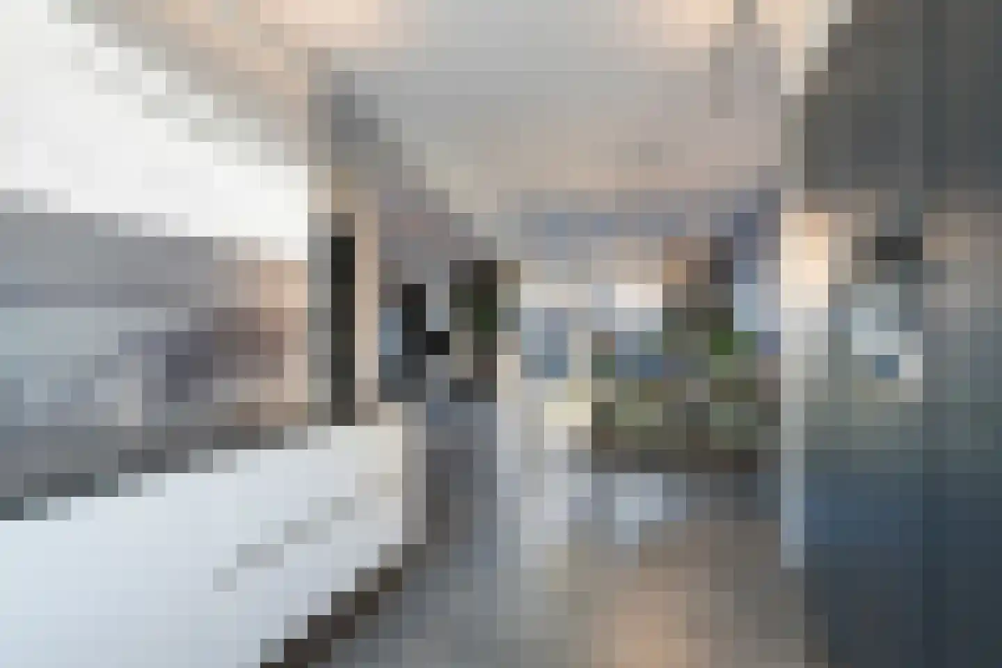 Laan van 't Haantje 43 Rijswijk foto 3