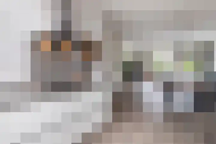 Laan van 't Haantje 45 Rijswijk thumbnail 10