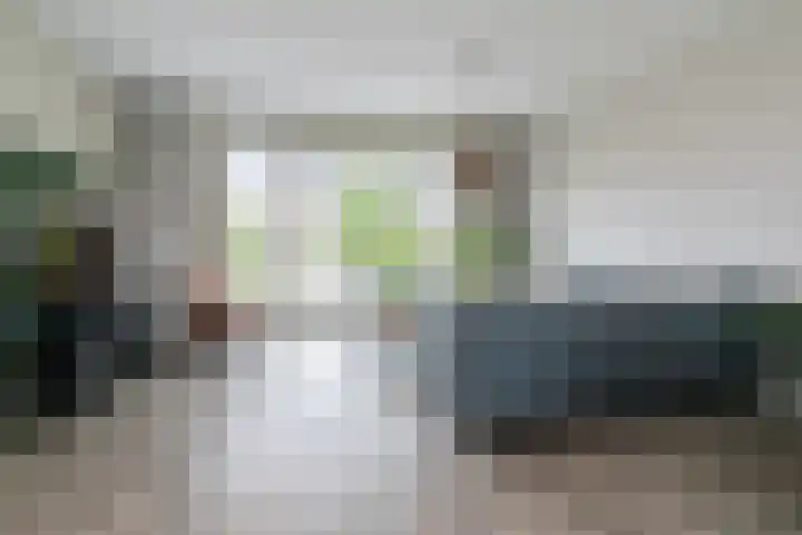 Laan van 't Haantje 45 Rijswijk thumbnail 14