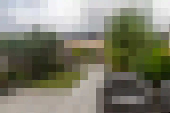 Laan van 't Haantje 45 Rijswijk thumbnail 17