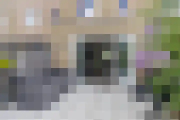 Laan van 't Haantje 45 Rijswijk thumbnail 19