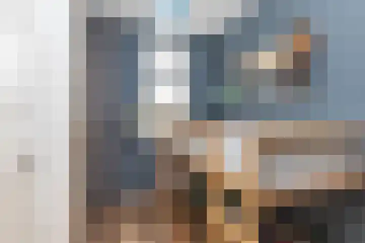 Laan van 't Haantje 45 Rijswijk thumbnail 25