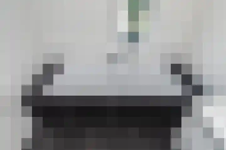 Laan van 't Haantje 45 Rijswijk thumbnail 27
