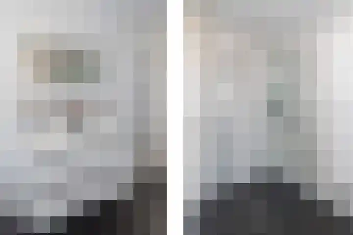 Laan van 't Haantje 45 Rijswijk thumbnail 28