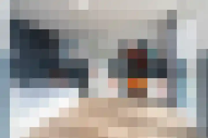 Laan van 't Haantje 45 Rijswijk thumbnail 30