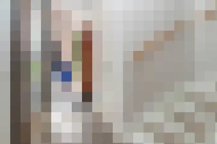 Laan van 't Haantje 45 Rijswijk thumbnail 36