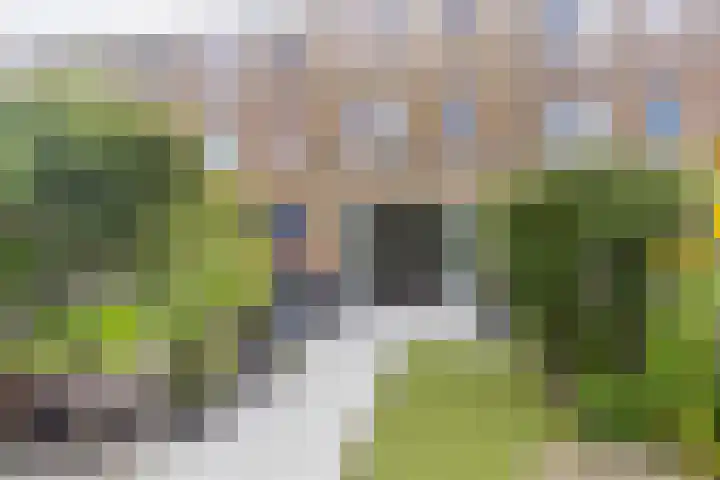 Laan van 't Haantje 45 Rijswijk thumbnail 4