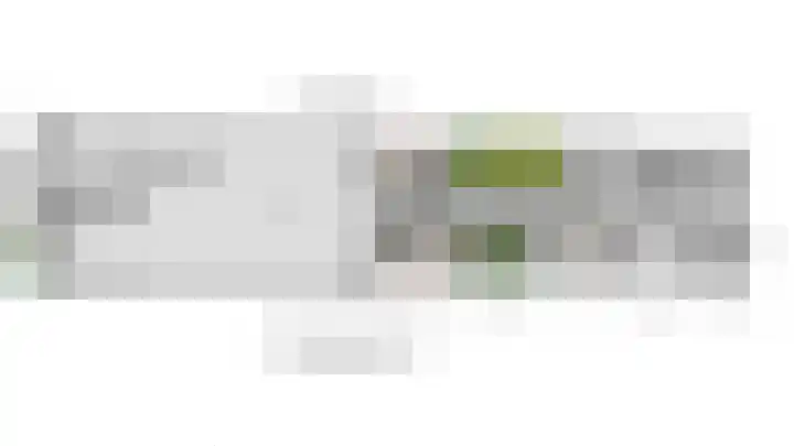 Laan van 't Haantje 45 Rijswijk thumbnail 42