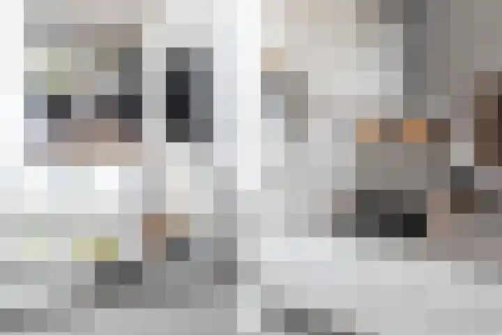 Laan van 't Haantje 45 Rijswijk thumbnail 8