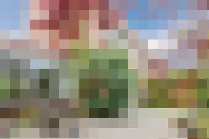 Laan van Tolkien 143 Geldrop thumbnail 35