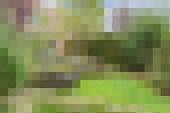 Laan van Tolkien 143 Geldrop thumbnail 37