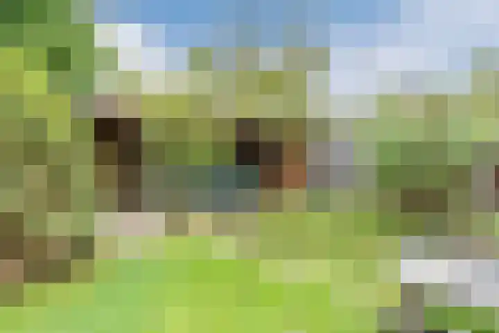Laan van Tolkien 143 Geldrop thumbnail 39
