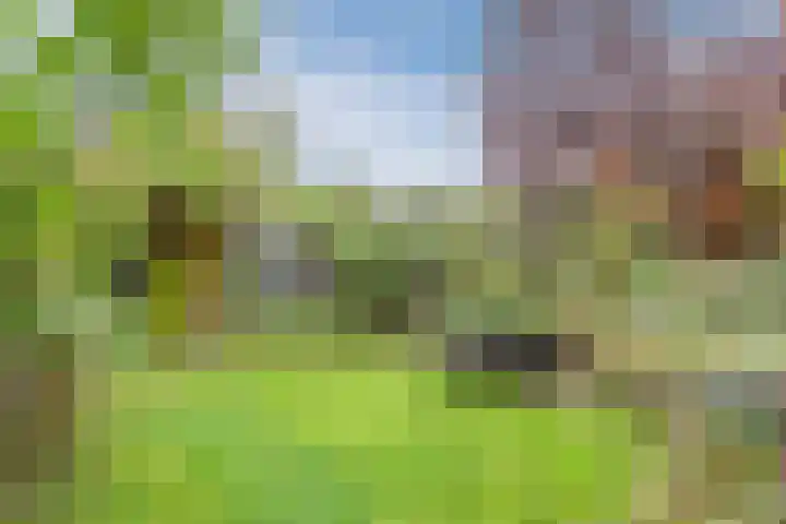 Laan van Tolkien 143 Geldrop thumbnail 40