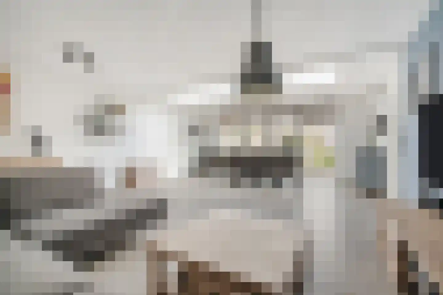 Laan van Tolkien 152 Geldrop thumbnail 14