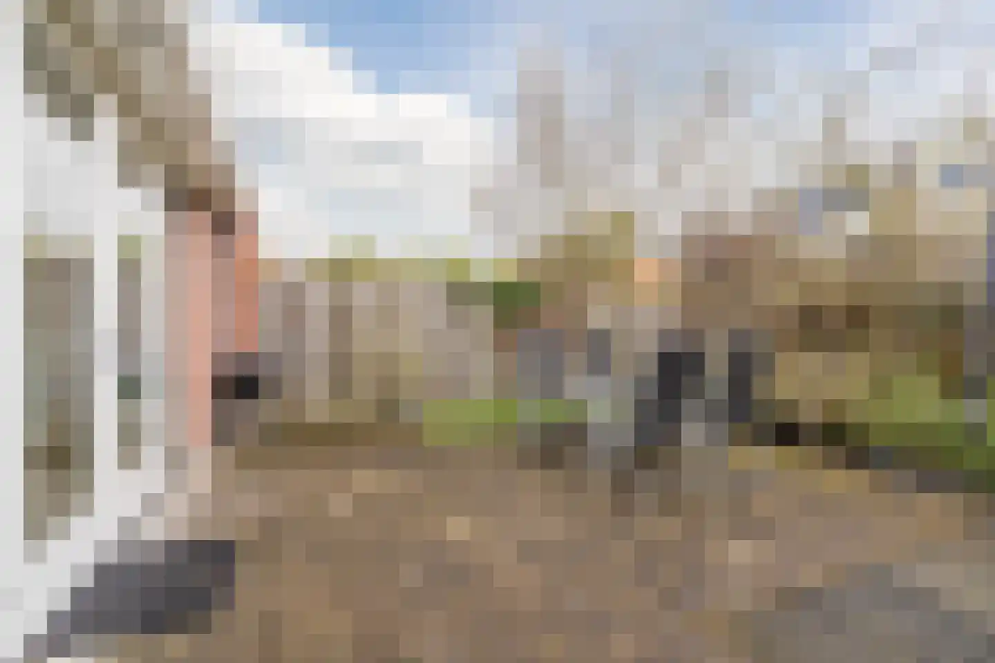 Laan van Tolkien 152 Geldrop thumbnail 45